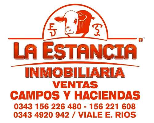 60 Has en la Picada Suelo 1 S/ruta con Mejoras Completas