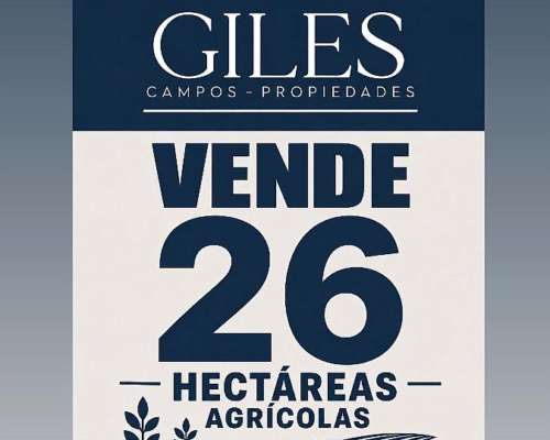 Campo Agrícola 26 Has San Pedro