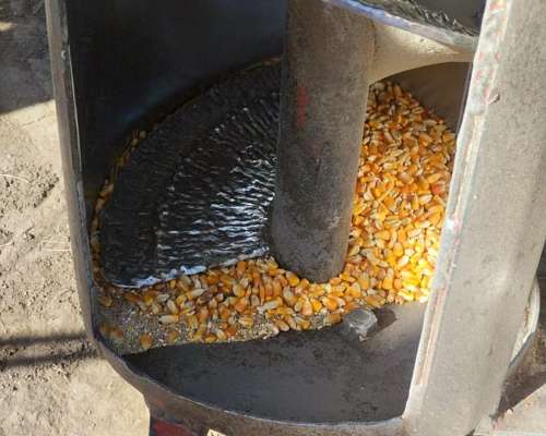 Extractora de Granos Rava, año 2006, sin Fin Cementado.