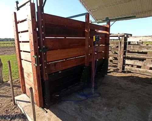 Balanza Electrónica para Pesaje de Hacienda