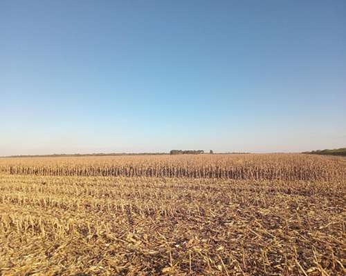 450 Ha en Venta Norte de Córdoba