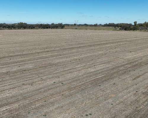 68 Has. Campo Agrícola con Mejoras en Zárate