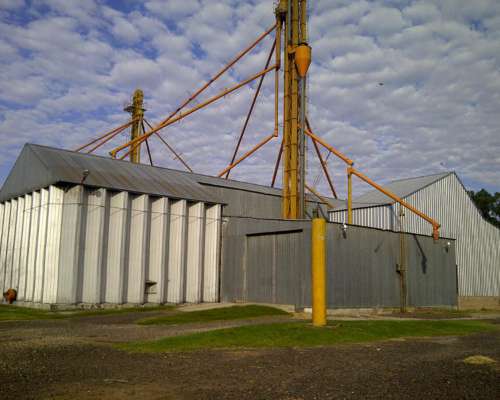 Venta Planta de Silos y Molino Harinero