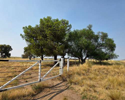 154 Has en Dique Paso de las Piedras