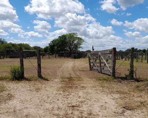 600 Has Norte Entre Ríos Venta