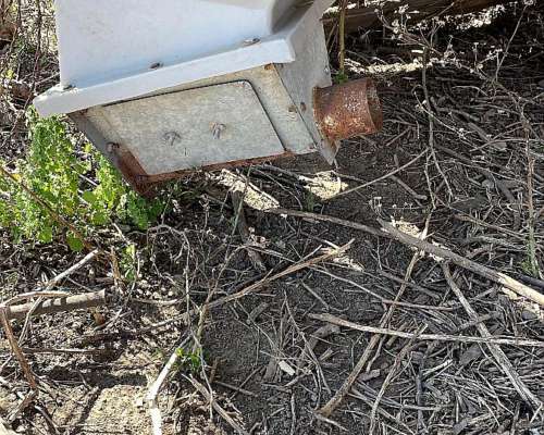 Silo Metálico de 2.500 Kg