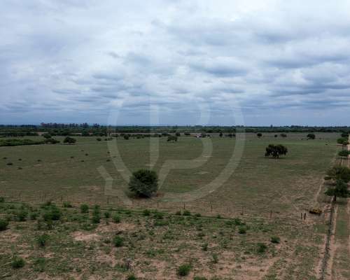 Campo Mixto en Venta- 987 Ha Zona Cruz del Eje
