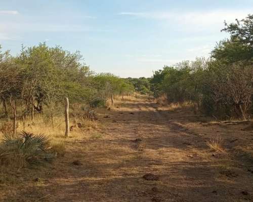 140 Ha Mixtas Excelente Campo Departamento Nogoyá
