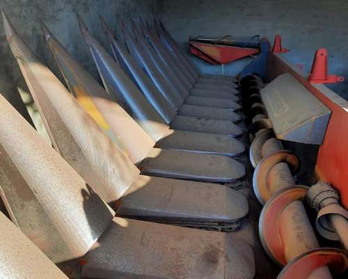 Maicero Mainero Mod 2008 de 13 S