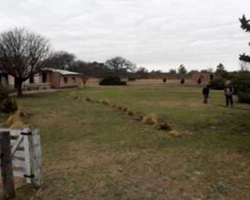 Campo Baviano la PAZ
