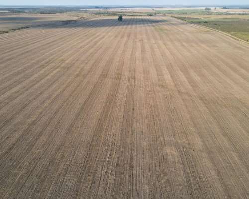 220 Hectáreas Campo Agrícola en Gualeguaychú.