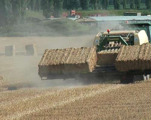 Carro Acumulador de Alfalfa Marca Parkland Modelo 455