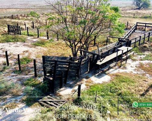 350 Has en Venta - Pcia del Chaco, Machagai