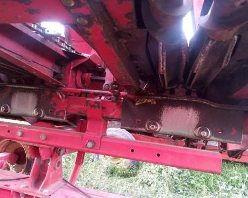 Maicero Mainero 1889 de 6 a 70