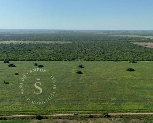 Campo Ganadero. SA Pereira, Santa FE. 1.022 HA.