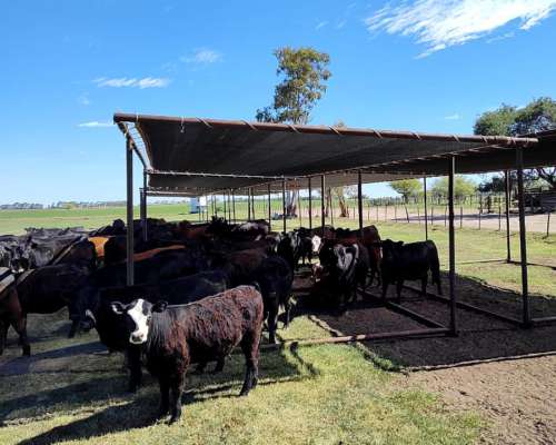 Medias Sombras Móviles (sin Iva)