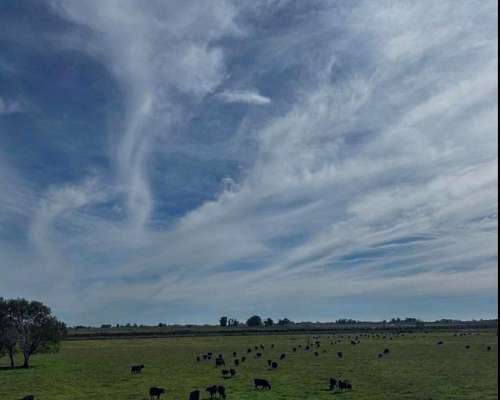 Campo en Venta Sobre Ruta 29. Ranchos