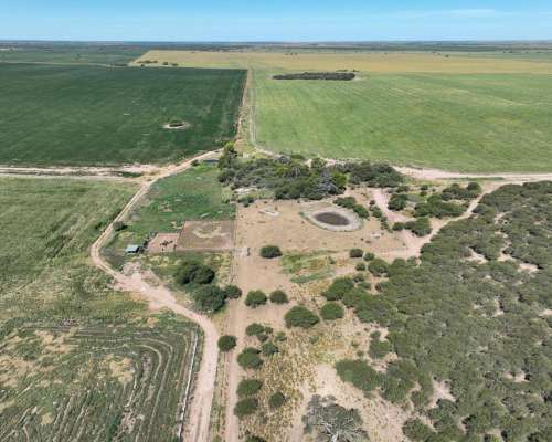 Pcia. de San Luis - Eleodoro Lobos 905 Has