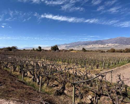 Finca Productiva en Venta – 112 Ha con Riego