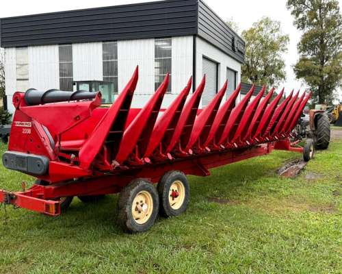 Maicero Mainero 2008 de 13 a 52