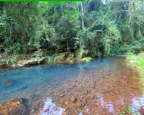 Chacra 95 Hectareas en Fracran Misiones