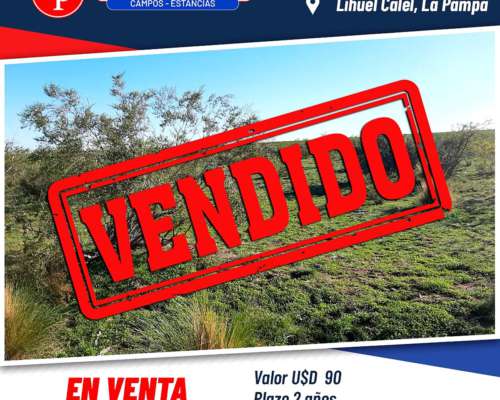 En Venta 3.500 Has Cuchillo CÓ la Pampa.-