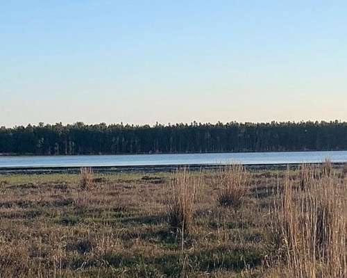 Corrientes Goya Campo Mixto Forestal Ganadero
