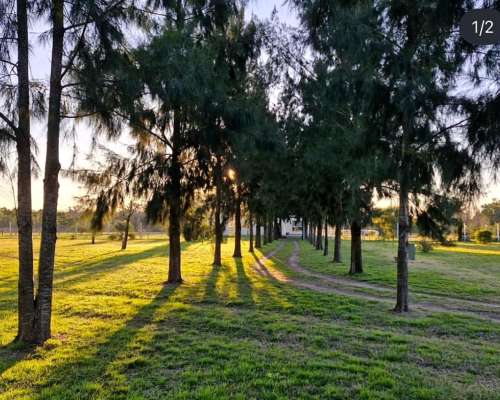 Personal de Mantenimiento del Campo