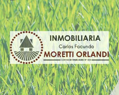 Campo 85 Ha en Basavilbaso 100 % Agrícola