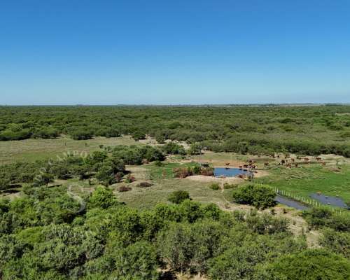 Venta Campo San Cristóbal, Santa FE. 1.280 HA.