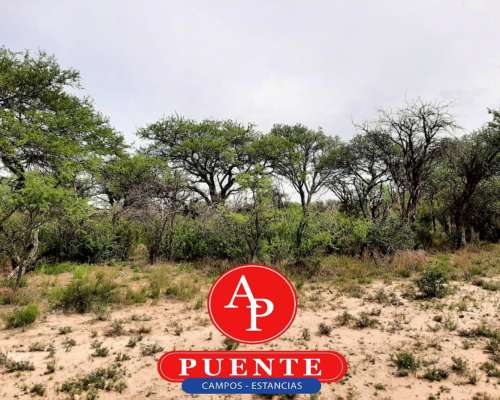 En Venta 2500 HA. Carro Quemado, la Pampa