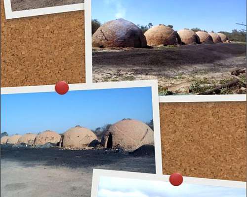 Oferta 562 Hectáreas. Vendo Campo Agrícola Forestal