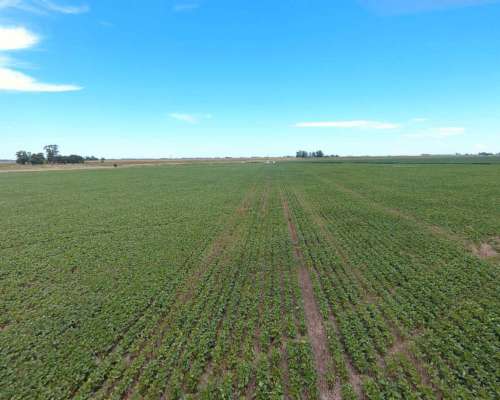 Pcia. de Cordoba - San Marcos SUD 770 Has