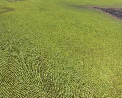 Establecimiento Mixto Centro de Entre Rios