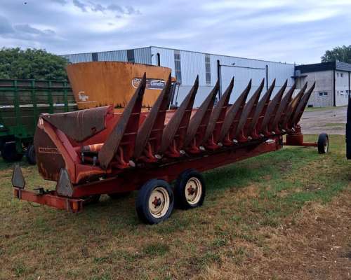 Maicero Mainero 2000 de 11 a 52