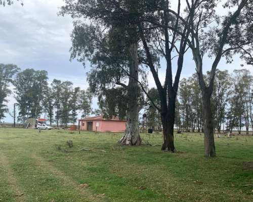 Campo Mixto 32 Hectáreas con Casco Roque Pérez