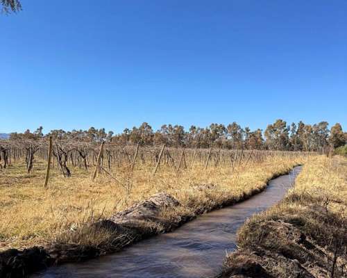 Finca Productiva en Venta – 112 Ha con Riego