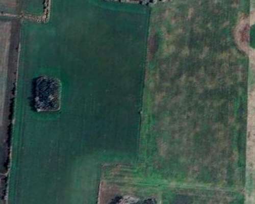 Campo Agricola en Roque Pérez