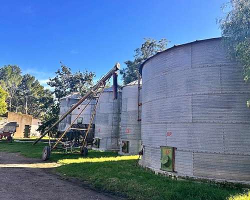 Planta de Silos 6500 Toneladas
