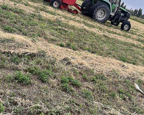 Mainero 5870 Impecable 6 Correas Nuevas, Monitor