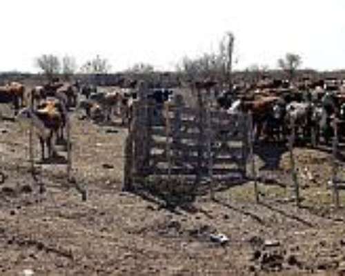 Campo Agricola/ganadero en Icaño S. del Estero C/riego