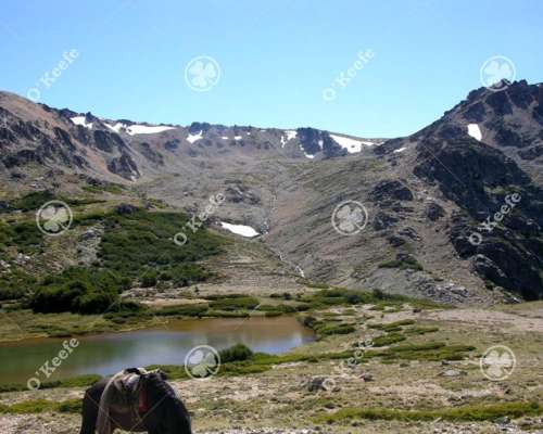 Campo en Venta de 486 Has Bariloche, Alto Rio Chubut