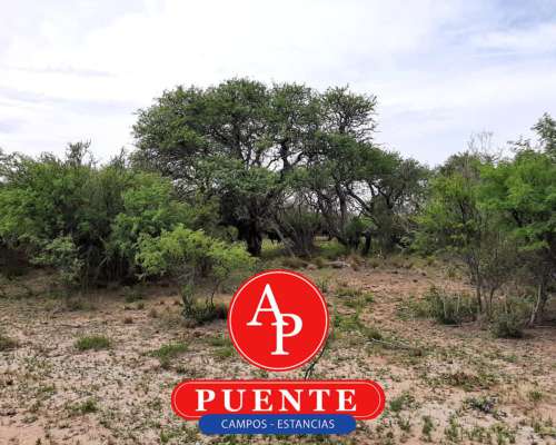 En Venta 2600 HA. Carro Quemado, la Pampa