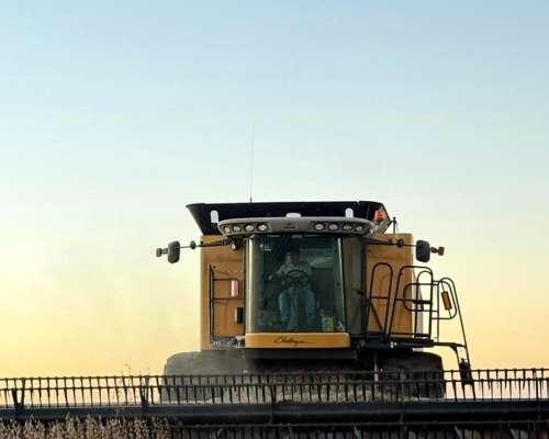 Cosechadora Agco Challenger CH670