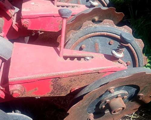 Crucianelli Gringa V, de 20 a 42 o 16 a 52