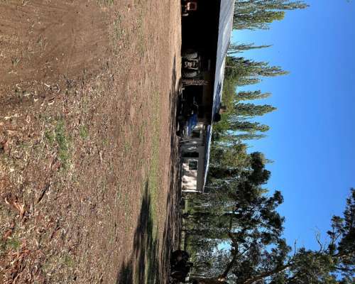 Vendo 71 Hcts, Alfalfa. con Maquinaria Completa Incluida