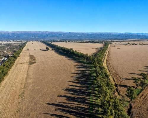 Alta Gracia, Santa María, Córdoba - 823 Ha