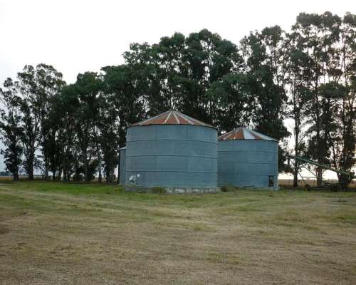 Coronel Dorrego, Buenos Aires - 1.748 Ha