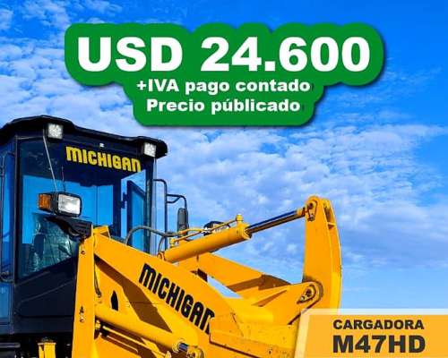 Pala Cargadora Mchigan Promo Octubre