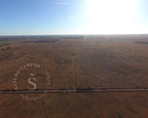 Campo Ganadero. Hipatia, Santa FE. 118 HA.